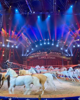 Cirque Eloize