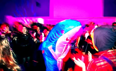 Anime Rave