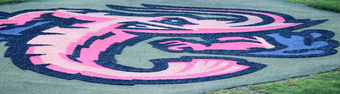 Jacksonville Jumbo Shrimp