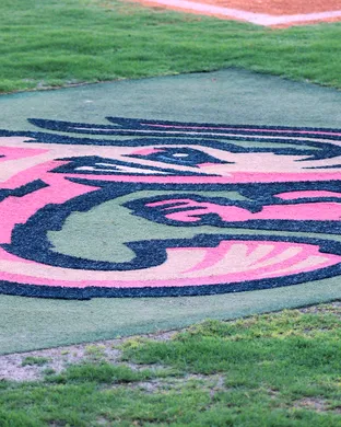 Jacksonville Jumbo Shrimp vs. Durham Bulls