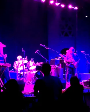 Live Dead & Brothers - Grateful Dead and Allman Brothers Tribute