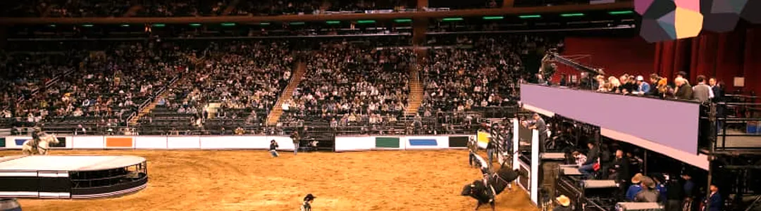 PBR - Unleash The Beast