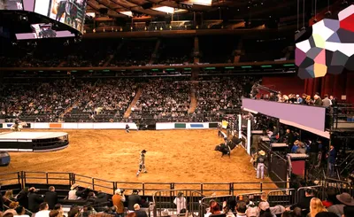 PBR - Unleash The Beast