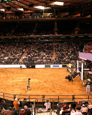 PBR: Unleash The Beast