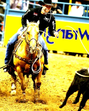 Rodeo